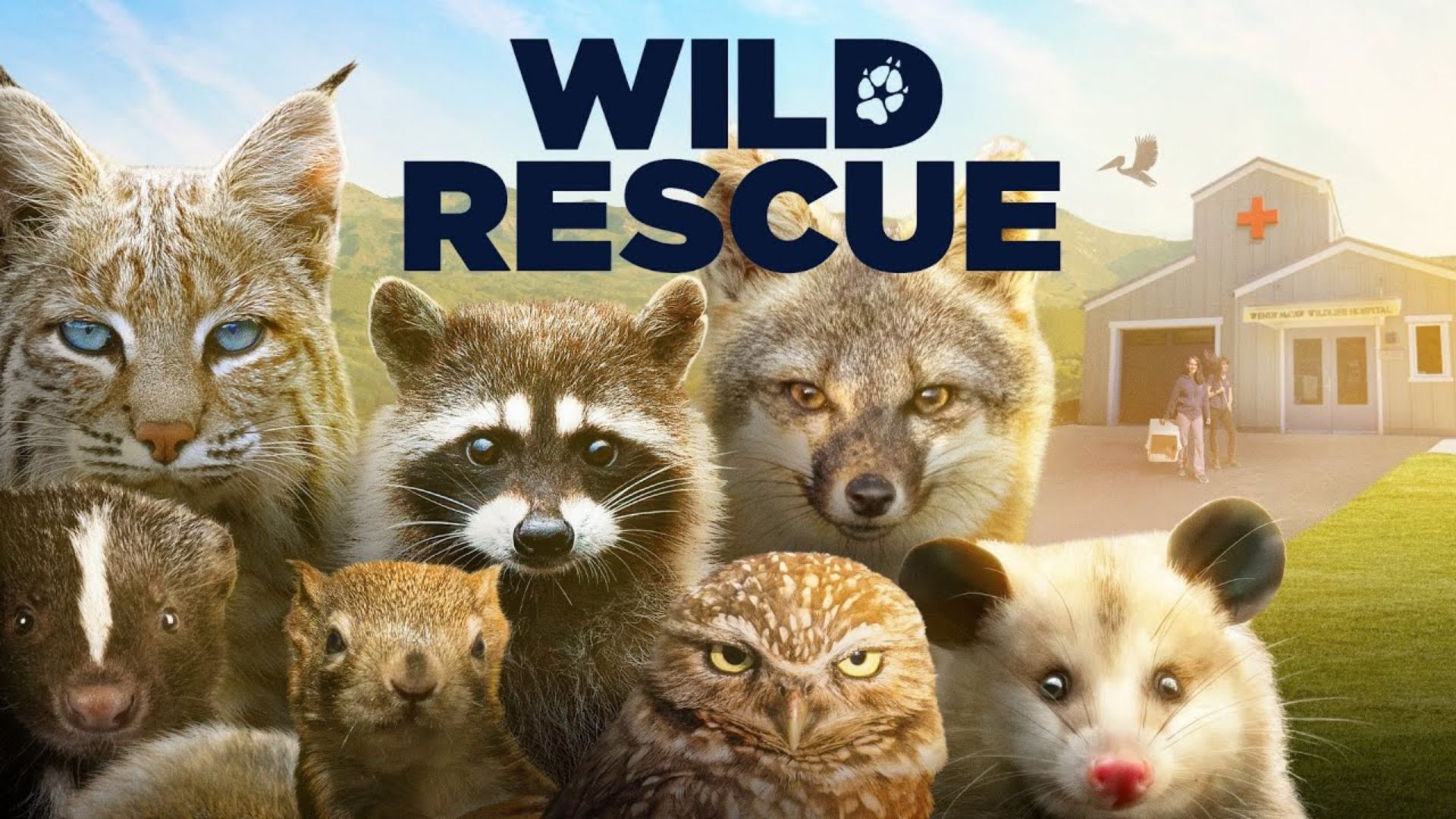 Animal rescue team helping a vulnerable animal during an emergency response