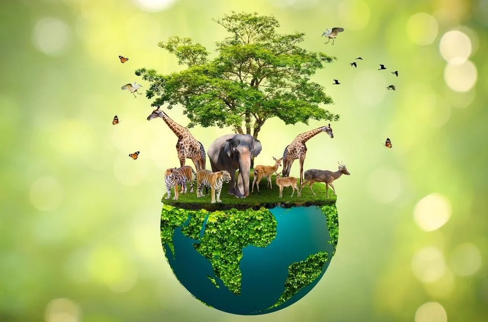Wildlife protection image showing safe support for a wild animal