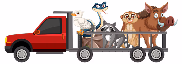 Rescue transport helping move an animal safely