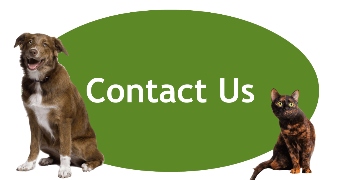 Contact rescue banner showing support for emergency animal reports