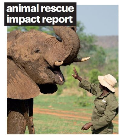 Emergency report guidance for contacting the rescue team about an animal in distress